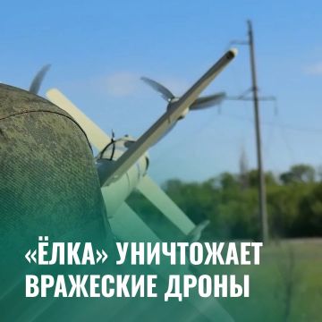 Минобороны России: Мобильные огневые группы «Центра» ведут борьбу с беспилотниками ВСУ на Добропольском направлении