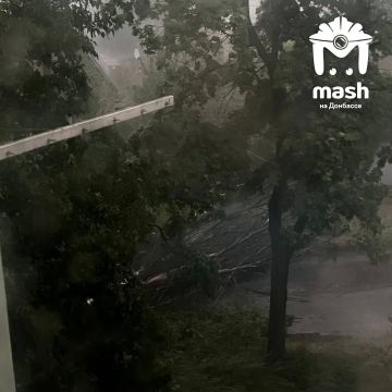 �� ������ ��������� ���������� ��� � ���� ���� ������ ����� �� ���� ����� ������� �������