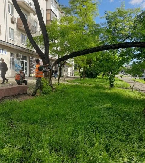 Устраняем последствия вчерашнего шторма Устраняем последствия вчерашнего шторма