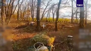 ������� ���� ���������� ������������ ��� �� ������������� �����������