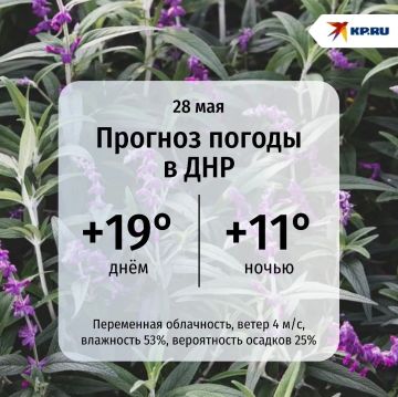 ДНР сегодня согреют ласковые +19°