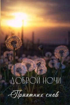 Доброй ночи!. Официальный сайт администрации