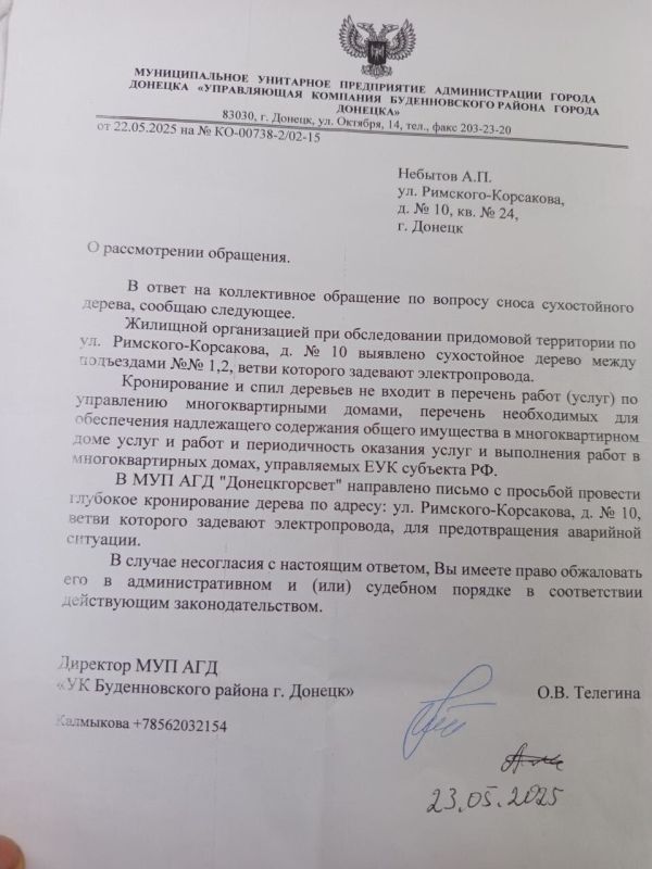 “Заявлений не поступало”: кто должен сносить сухие деревья во дворах многоквартирных домов в Донецке “Заявлений не поступало”: кто должен сносить сухие деревья во дворах многоквартирных домов в Донецке