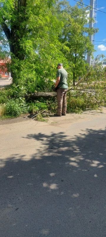 Рабочие зеленого строительства продолжают ликвидацию последствий шторма Рабочие зеленого строительства продолжают ликвидацию последствий шторма