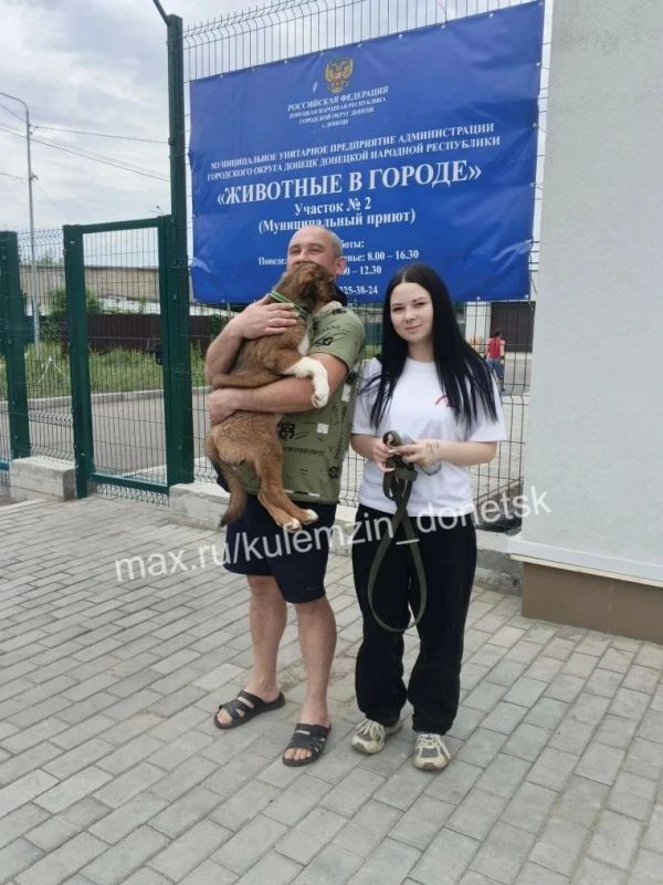 Алексей Кулемзин: Предприятие «Животные в городе» продолжает свою работу: отлов, лечение и поиск дома для бездомных питомцев Алексей Кулемзин: Предприятие «Животные в городе» продолжает свою работу: отлов, лечение и поиск дома для бездомных питомцев