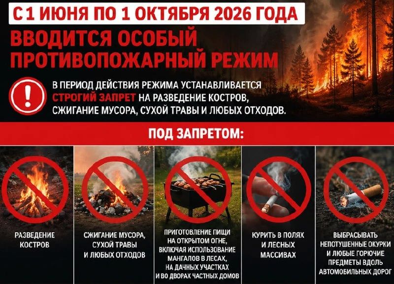 На территории ДНР с 1 июня по 1 октября 2026 года вводится особый противопожарный режим
