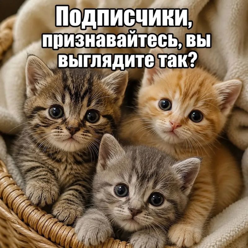 Мы вас по-другому и представить не можем! Спасибо за ваши реакции и комментарии