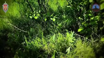 "����� ��������" �� ������ ������������ 77 ���������������� ���� ���, �������� � ���� ������ �� ���