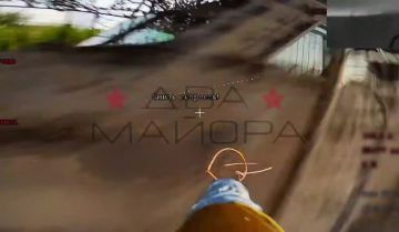 ��� ������: ������������� ������. ��������� 33-�� ��������������� ����� ������� ������� ������ ������ ���������� ���� ���������������� ����