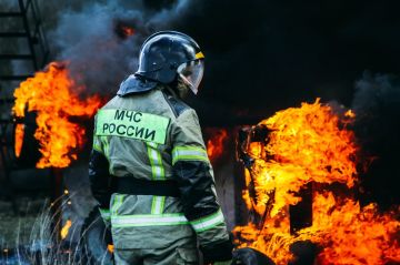 1 июня — старт особого противопожарного режима: огонь под запретом