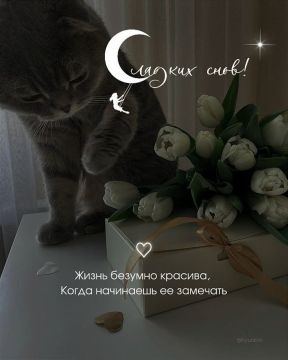 ��������� ����!. ����������� ���� �������������