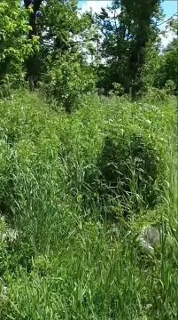 В Киевском районе Донецка огромная свалка захватила две улицы