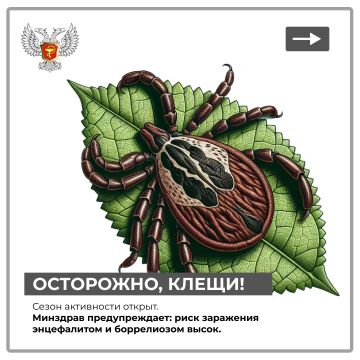 Не шутите с клещами. Один укус — и последствия могут быть на всю жизнь: энцефалит, боррелиоз, тяжелые осложнения