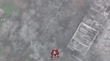 ������� �������� ��� ���������� ����������