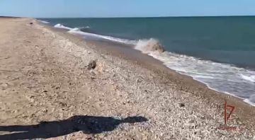 � ���� ���������� ��� �������� ���������� ��������� ������� ������ �����: ��������� ����� � ��������� ���������, �������� ������������������� ������� ���������, ���� ������ � �������