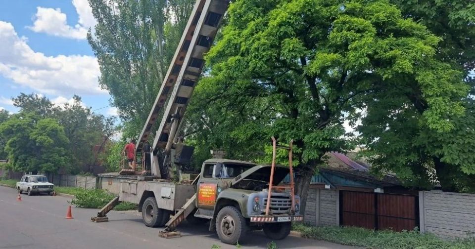 Елена Рязанцева: Продолжаются работы по сносу аварийных деревьев вдоль дороги по ул. Федосеева