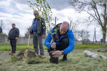 Пуровчане совместно с жителями Владимировки Волновахского округа высадили аллею берез