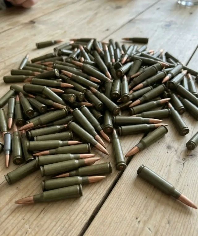 Полицейские изъяли патроны у жительницы Тельмановского м.о