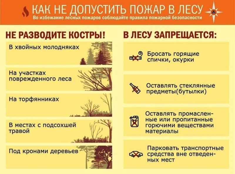 Пожарная безопасность в период действия особого противопожарного режима Пожарная безопасность в период действия особого противопожарного режима