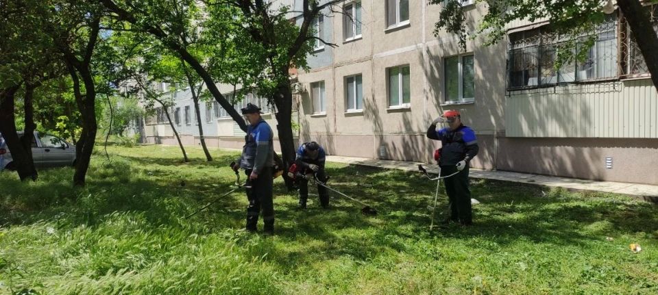 Наряду с зелеными зонами парков и скверов, улиц и проспектов также ведем активный покос травы на придомовых территориях Наряду с зелеными зонами парков и скверов, улиц и проспектов также ведем активный покос травы на придомовых территориях