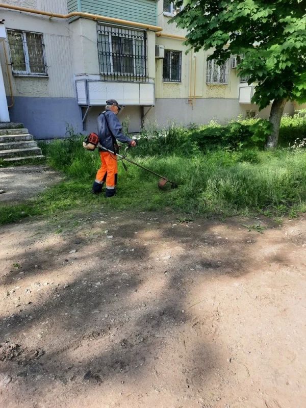 Наряду с зелеными зонами парков и скверов, улиц и проспектов также ведем активный покос травы на придомовых территориях Наряду с зелеными зонами парков и скверов, улиц и проспектов также ведем активный покос травы на придомовых территориях