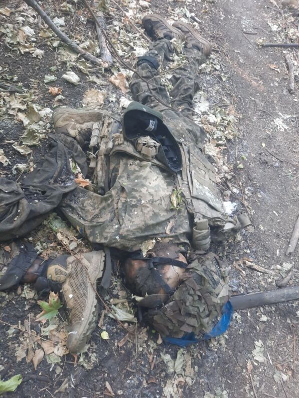 Чингис Дамбиев: Доброе утро. Уничтоженные на Южно-Донецком направлении боевики украинских формирований Чингис Дамбиев: Доброе утро. Уничтоженные на Южно-Донецком направлении боевики украинских формирований
