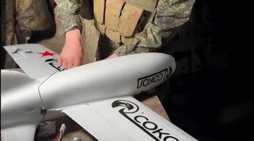 ������ �������: ��� ��� ������� "�������������" ���� ����������� ��������� ����� ������������� ����� ���