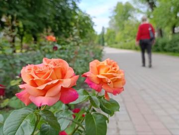 5 ���� � �������:. ���������� ����������.����������� �������: ����� 14-16�, ���� 24-26�