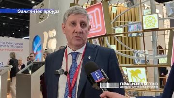 Андрей Чертков: ПМЭФ-2026 для нашей делегации завершён