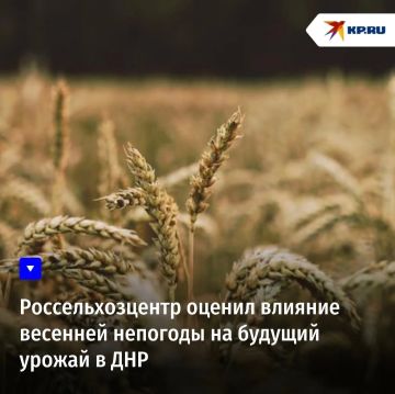Россельхозцентр оценил влияние весенней непогоды на будущий урожай в ДНР
