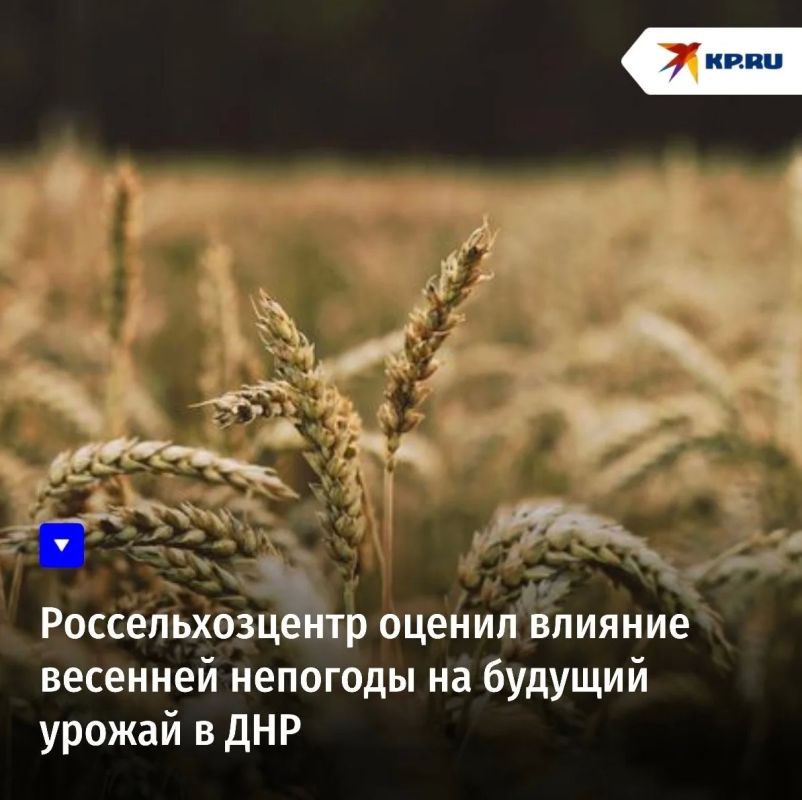 Россельхозцентр оценил влияние весенней непогоды на будущий урожай в ДНР