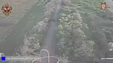�������� ���������� ���� � ��� ��� �� ���������������� �����������