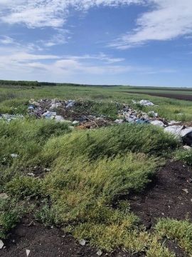 Россельхознадзором в ЛНР проводится отбор проб грунта на определение токсичных металлов и нефтепродуктов