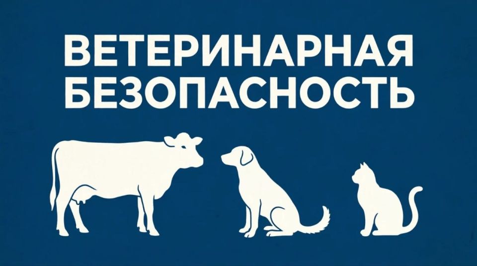 Уважаемые снежнянцы!. Администрация городского округа Снежное обращает ваше внимание на необходимость строгого соблюдения правил обращения с животными и биологическими отходами