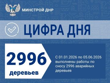 Ликвидация аварийных деревьев продолжается