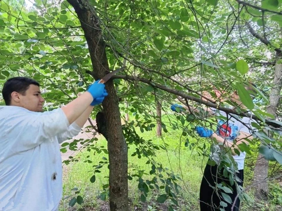 В городском округе Иловайск жители ТОС НОВЫЕ ДОМА, под председательством Надежды Бушуевой - активно принимают участие во Всероссийской акции «Международный день соседей» В городском округе Иловайск жители ТОС НОВЫЕ ДОМА, под председательством Надежды Бушуевой - активно принимают участие во Всероссийской акции «Международный день соседей»