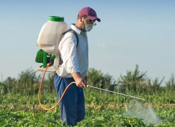 Управлением Россельхознадзора по Донецкой Народной Республике и Луганской Народной Республике к категории высокого риска отнесена деятельность ИП Горбули Н.П. в области безопасного обращения с пестицидами и агрохимикатами