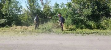 МБУ "Благоустройство" выполняет работы по покосу сорной растительности, на территории городского округа Торез