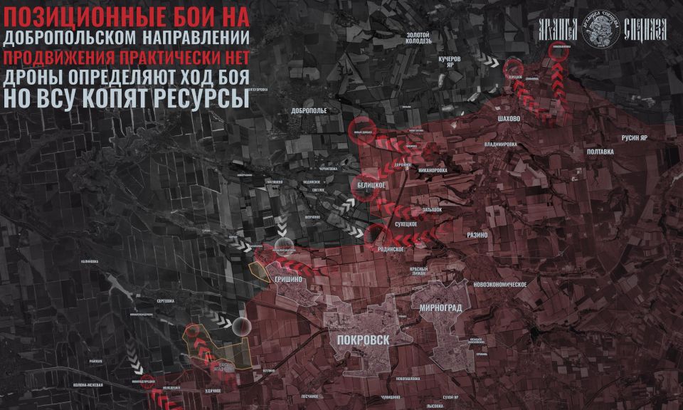 Позиционные столкновения у Доброполья