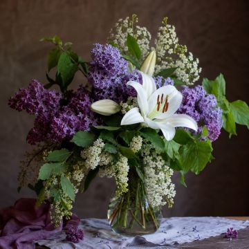 � �������� ����� �� ���������: � ���������������� ������� ���-7 ������, ���������� ��������