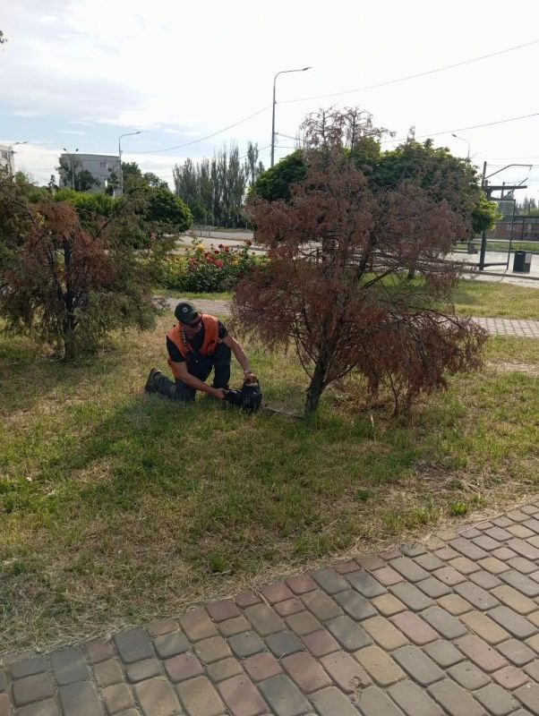Коммунальщики продолжают благоустройство зеленых зон Коммунальщики продолжают благоустройство зеленых зон