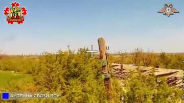 56 ����� ���������� ������� �����, �� ��� � ���� ������� ���