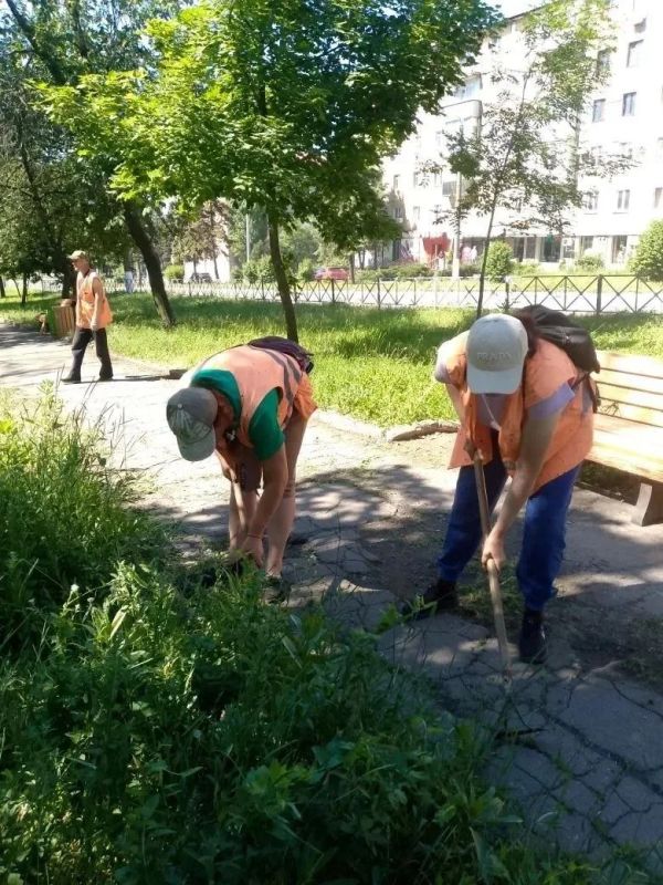 Коммунальщики Снежного продолжают благоустраивать территории общего пользования Коммунальщики Снежного продолжают благоустраивать территории общего пользования