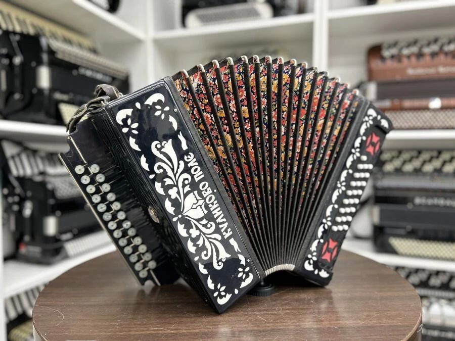 Забайкальский край закупил музыкальные инструменты для Новосветской детской музыкальной школы Старобешевского округа