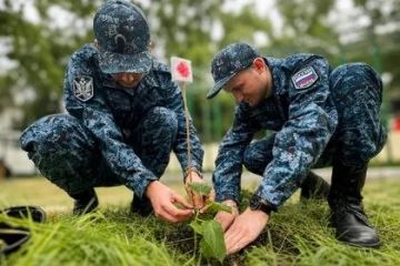 «Императорские деревья» в честь Дня России высадили в ДНР