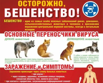 Вниманию владельцев животных
