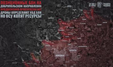 Позиционные столкновения у Доброполья