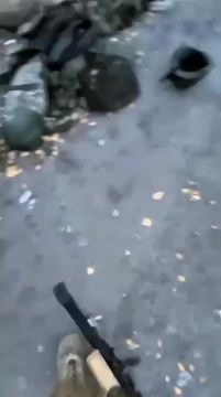 ������ �������: ������������ �� ����-�������� ����������� ������� ���������� ������������
