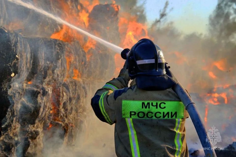 #МЧСДНР_СВОД за сутки. Ликвидировано 11 пожаров, из них 1 — ландшафтный