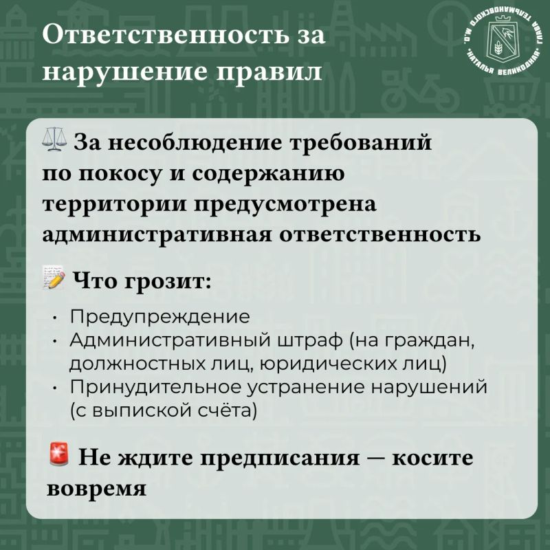 Наталья Великодная: Уважаемые жители!. Лето — время наводить порядок Наталья Великодная: Уважаемые жители!. Лето — время наводить порядок